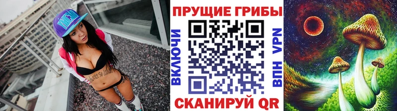Галлюциногенные грибы мицелий  купить   Усть-Катав 